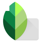 Snapseed Download Apk